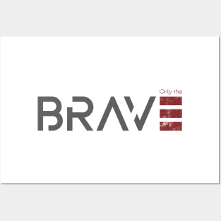 Brave Posters and Art